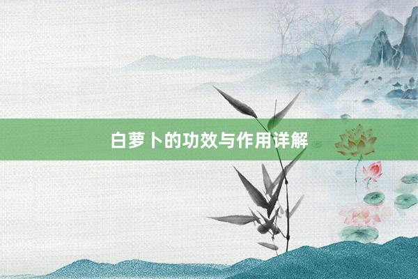 白萝卜的功效与作用详解