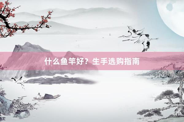 什么鱼竿好？生手选购指南